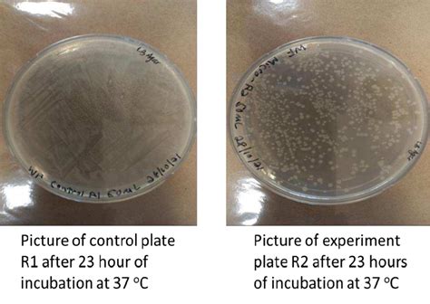 lb agar autoclave time|incubation of agar plates.